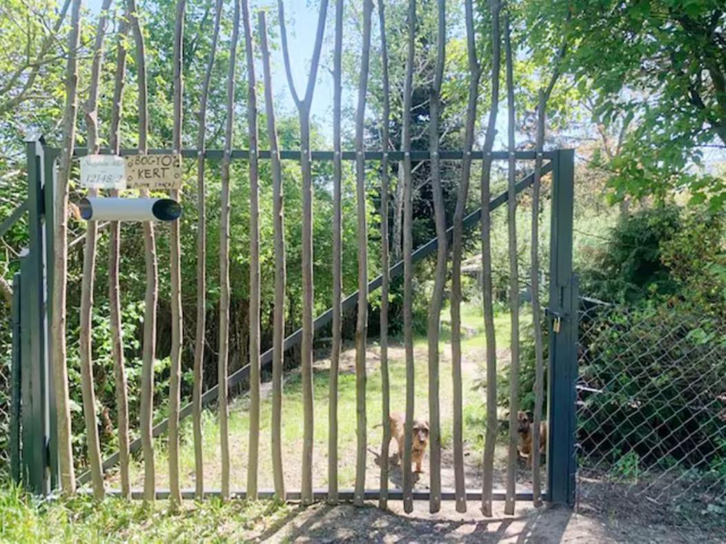 Apartmán Bogyo Kert